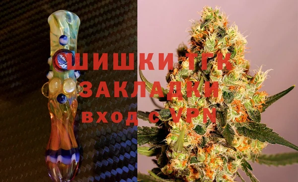 ГАЛЛЮЦИНОГЕННЫЕ ГРИБЫ Инсар