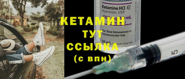 ГАЛЛЮЦИНОГЕННЫЕ ГРИБЫ Инсар