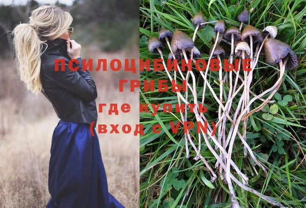 ГАЛЛЮЦИНОГЕННЫЕ ГРИБЫ Инсар