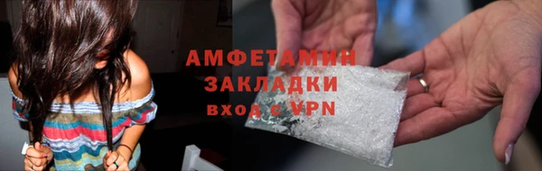 ГАЛЛЮЦИНОГЕННЫЕ ГРИБЫ Инсар
