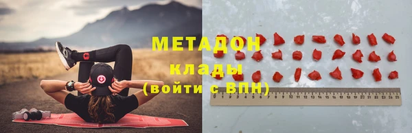 ГАЛЛЮЦИНОГЕННЫЕ ГРИБЫ Инсар