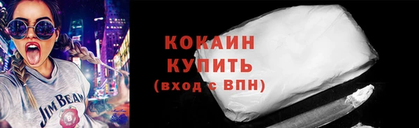 ГАЛЛЮЦИНОГЕННЫЕ ГРИБЫ Инсар