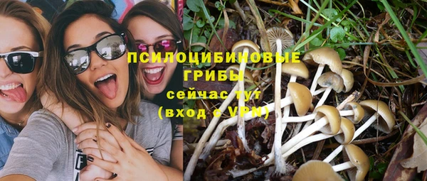 MESCALINE Инта