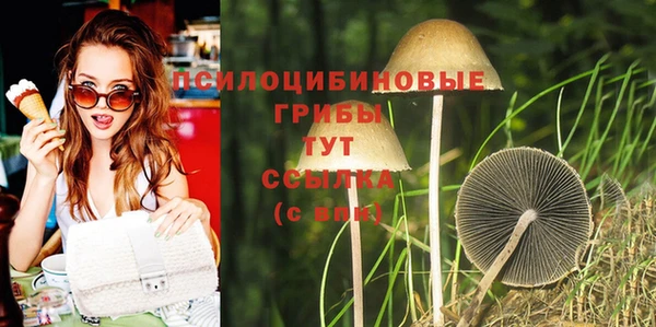 ГАЛЛЮЦИНОГЕННЫЕ ГРИБЫ Инсар