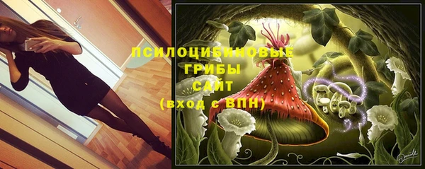 ГАЛЛЮЦИНОГЕННЫЕ ГРИБЫ Инсар