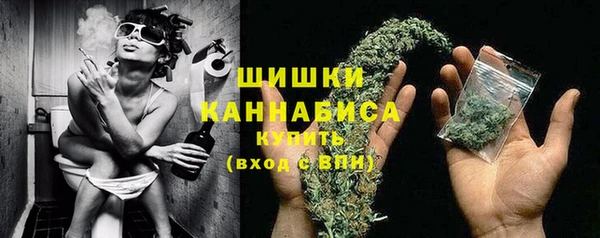 ГАЛЛЮЦИНОГЕННЫЕ ГРИБЫ Инсар