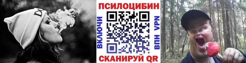 Псилоцибиновые грибы мицелий  Купить где  Яхрома 
